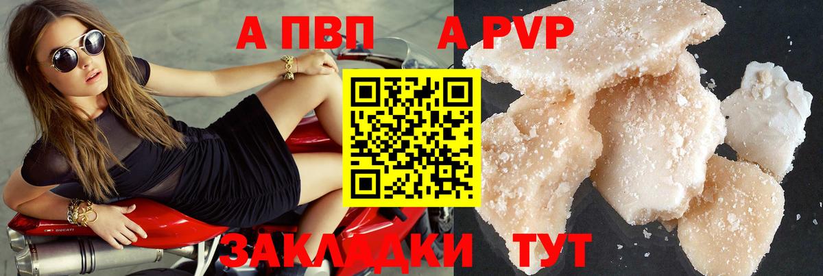 Альфа ПВП СК Урус-Мартан